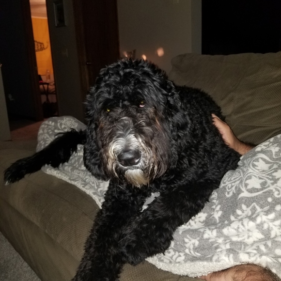 Meet your Posher, Jen - Picture 2 of 2